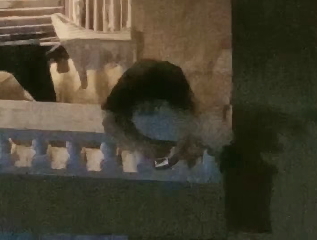 لقطة الشاشة 2026-08-24 185344 لقطة الشاشة 2026-08-24 185344